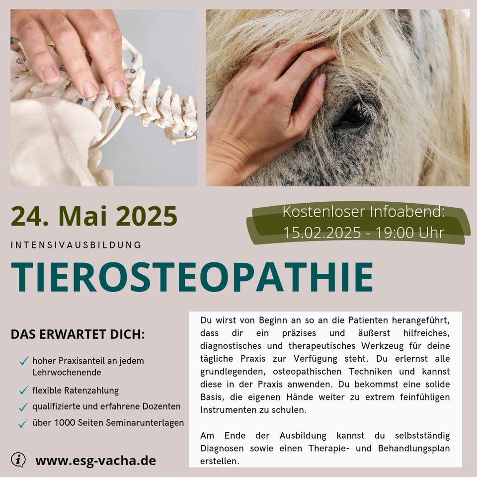 Veterinär Osteopathie Intensivausbildung in Gießen