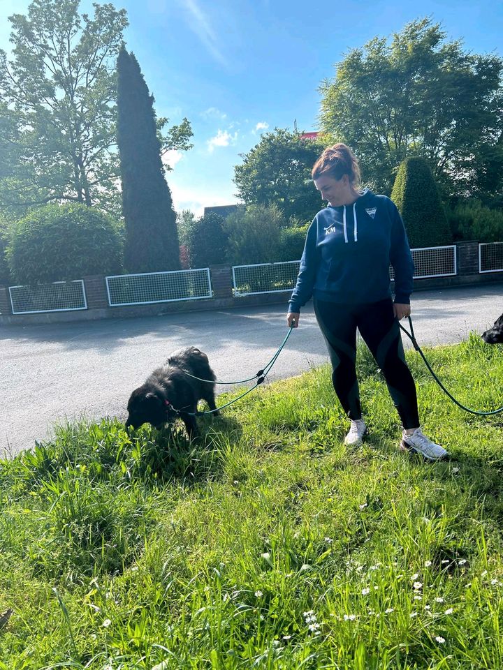 Oma Kati, 11 Jahre, 52 cm, sanfte u. verschmuste Oma, katzenvertr in Hilden