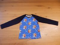 Pullover Elsa und Anna handmade 122 3€ Thüringen - Erfurt Vorschau