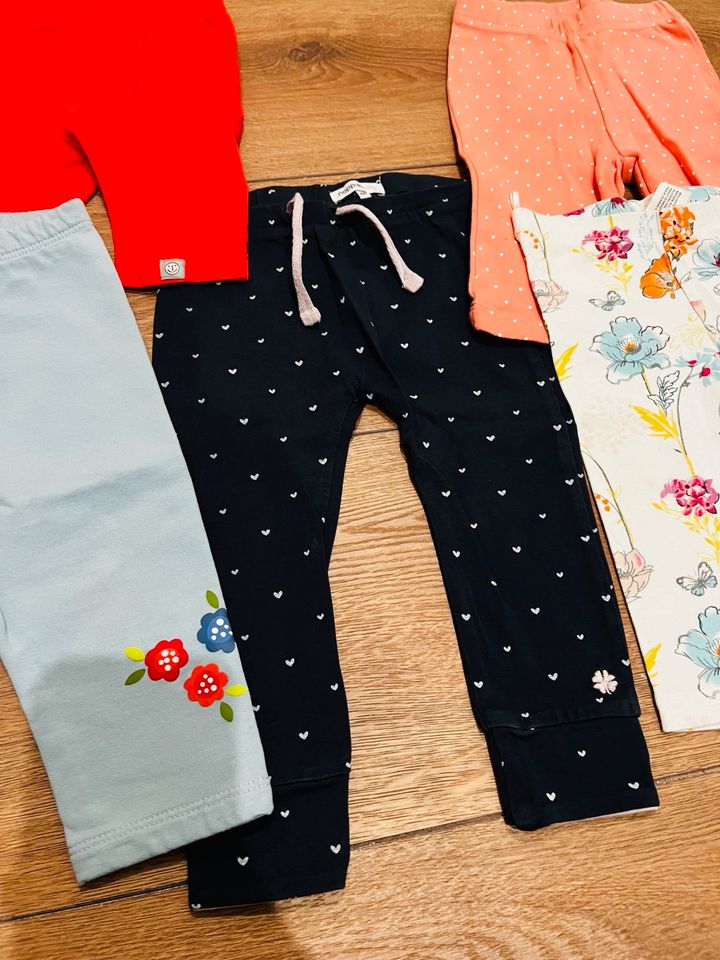 Set 5 Leggins Gr. 68 Noppies, Tchibo, BabyClub, Liegelind in Lienen