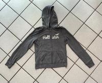 Sweatjacke Hollister Gr.L  grau Nordrhein-Westfalen - Telgte Vorschau