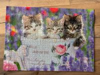 Puzzle 1000 Teile Katzen süß puzzeln Baden-Württemberg - Steißlingen Vorschau