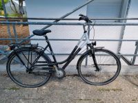 Kalkhoff Damen Fahrrad Cityrad 29 Zoll Nabenschaltung Baden-Württemberg - Backnang Vorschau