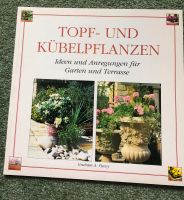 Topf- und Kübelpflanzen für Garten und Terrasse Schleswig-Holstein - Flensburg Vorschau