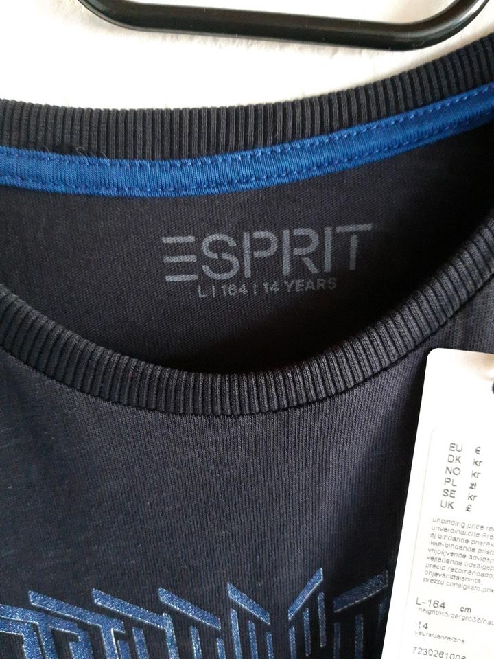 Esprit junge T- schirt in Würzburg