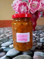 selbstgemachtes Kürbis-Chutney Aufstrich Bergedorf - Hamburg Altengamme Vorschau