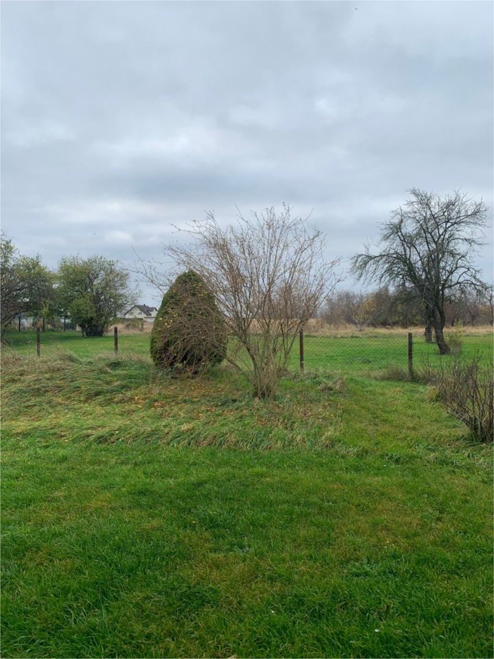 Traumhaftes Baugrundstück in der begehrten Goddula Siedlung/ Bad Dürrenberg zu verkaufen in Bad Duerrenberg