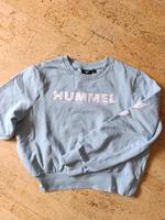 Hummel, Größe s Hessen - Kassel Vorschau