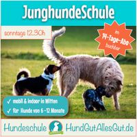 Training für Junghunde bei HundGutAllesGut.de Nordrhein-Westfalen - Witten Vorschau