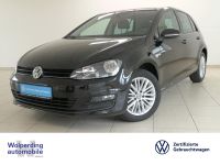 Volkswagen Golf VII 1.2 TSI Cup Bluetooth Klima el. Fenster Niedersachsen - Winsen (Luhe) Vorschau