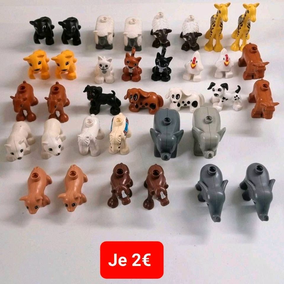 Lego Duplo Tiere Preis pro Stück  Ab 1€ siehe Bilder in Würselen