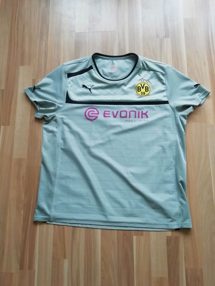 BVB Borussia Dortmund Trikot Tshirt XL XXL DFB Pokalsieger 2017 in Neuss