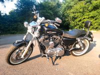 Harley Davidson Sportster XL 1200 Custom * Extras Niedersachsen - Osnabrück Vorschau