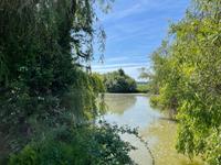 Freizeitgrundstück ca. 5000 qm mit Weiher westl. von Erlangen Bayern - Erlangen Vorschau