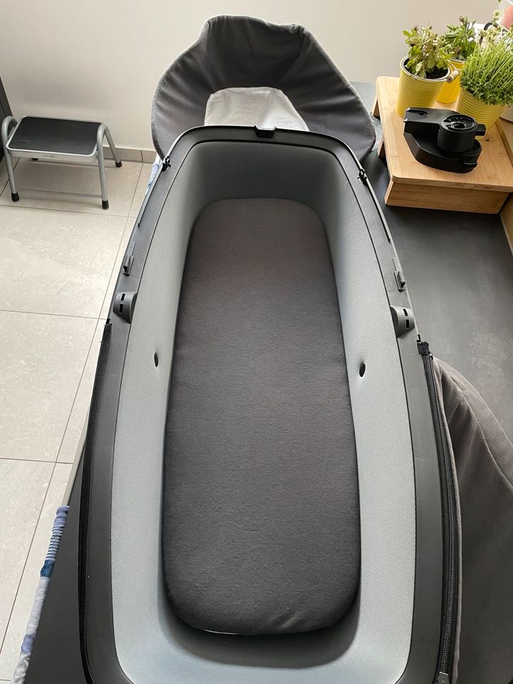 Quinny Lux Carrycot Wanne in Ennepetal
