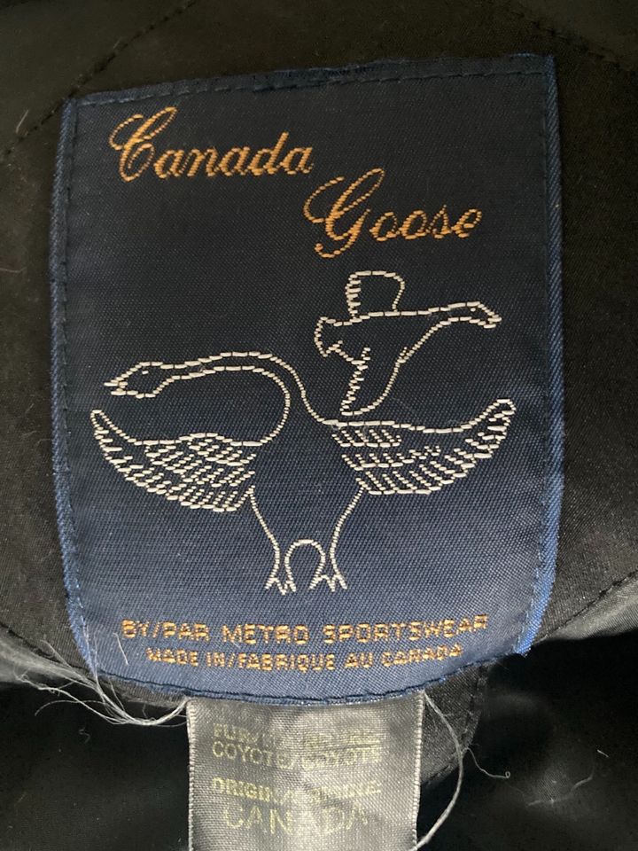 Canada goose expedition in Berlin