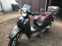 Aprilia Scarabeo 125 Saarland - Wadgassen Vorschau