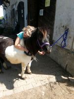 Kindergeburtstag auf unserer Ranch Bayern - Tuntenhausen Vorschau