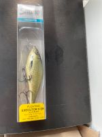 Salmo Executor no Westin,Illex, Daiwa, Abu Garcia, Rapala Nordrhein-Westfalen - Westerkappeln Vorschau