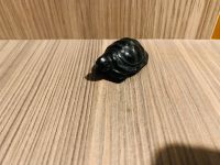 Schwarze Obsidian Schildkröte Hessen - Waldsolms Vorschau