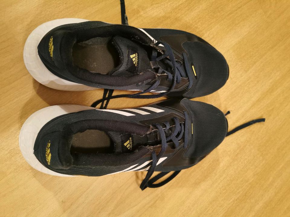 Adidas Sneaker, Gr. 40, Top in Eberswalde