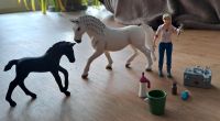 Schleich Pferde / Tierärztin - Set 17 Bayern - Isen Vorschau