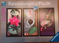 Ravensburger Puzzle 3x500 Teile Nordrhein-Westfalen - Pulheim Vorschau