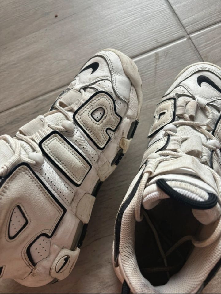 Nike air more uptempo in Bad Honnef
