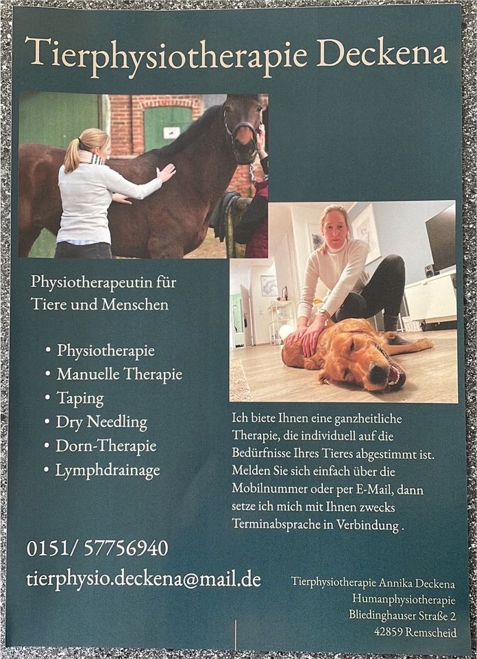 Tierphysiotherapie Pferde und Hunde in Remscheid