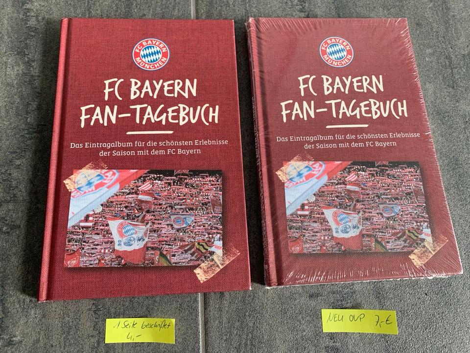 Taschenbücher ca. ab 5. Klasse, Jugendbücher, Grundschulbücher in Plößberg