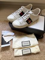 Gucci Sneaker Ace Hessen - Eschborn Vorschau