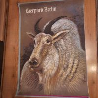 Tierpark Plakat Schneeziege Berlin - Köpenick Vorschau