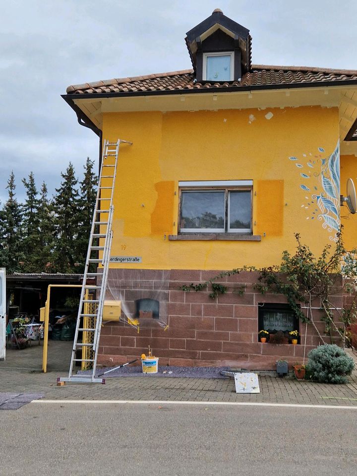 Malerarbeiten, Fassadensanierung in Freiburg im Breisgau