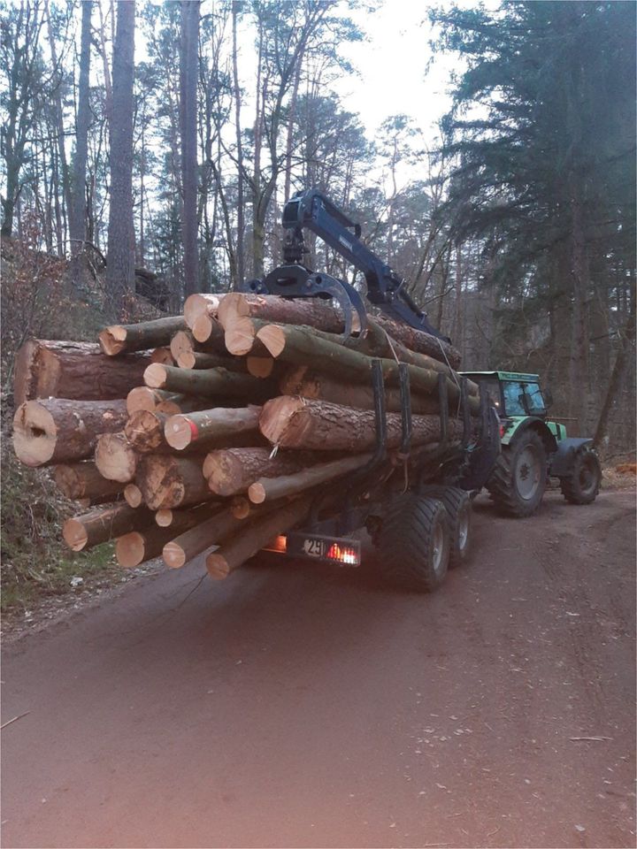 Holztransport Stammholztransport Fixlängen Rückewagen Langholz in Dahn