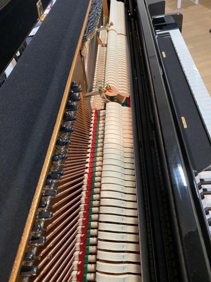 Premium - Set - Angebot - GROTRIAN-STEINWEG Klavier G-113 NEU ! in Detmold