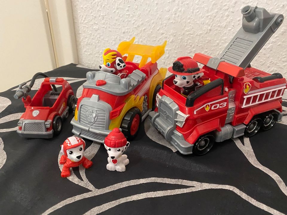 3 Paw Patrol Fahrzeuge Marshall in Halberstadt