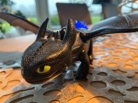 Playmobil 70037 Dragons Hicks und Ohnezahn OVP Weihnachten Schleswig-Holstein - Glücksburg Vorschau