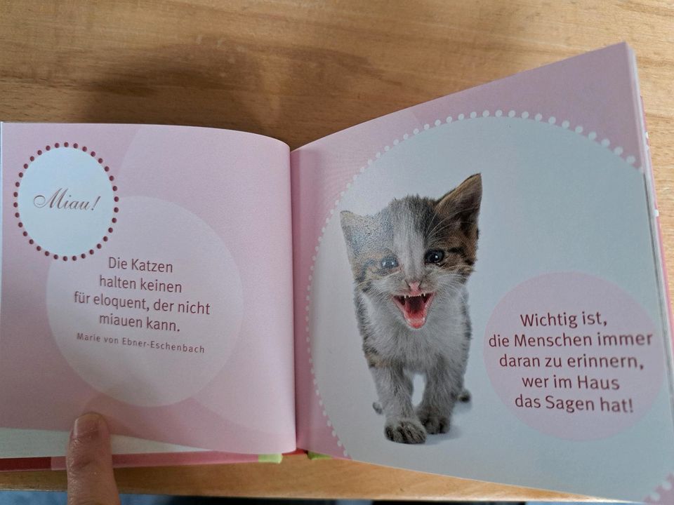 Buch "Katzen und wie sie die Welt sehen"/Groh-Verlag in Bad Wildungen