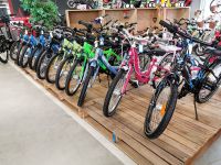 Bei Kinder räder super aufgestellt.Über 300 Fahrräder verfügbar! Niedersachsen - Vechta Vorschau