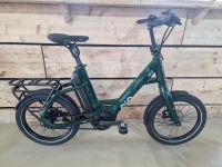 QIO Eins P-5 ** Modell 2024 ** Forest Green ** Rücktrittbremse ** 75NM / 545Wh - E-Bike Schleswig-Holstein - Grauel Vorschau