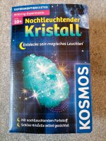 Kosmos Nachtleuchtender Kristall Niedersachsen - Wiefelstede Vorschau