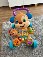 Spielzeug Geh Hilfe für Kinder Bayern - Kelheim Vorschau