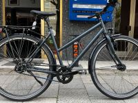 Contoura Fahrrad FE-7 11G Shimano GATES granadaschiefer 53cm München - Schwabing-West Vorschau