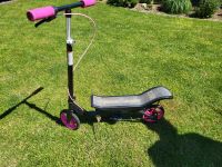 Wipp-Roller Base scooter x560, sehr guter Zustand Hessen - Biblis Vorschau