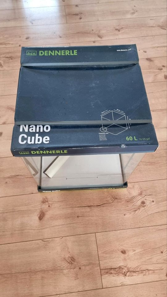 Dennerle Nano Cube 60L in Kiel