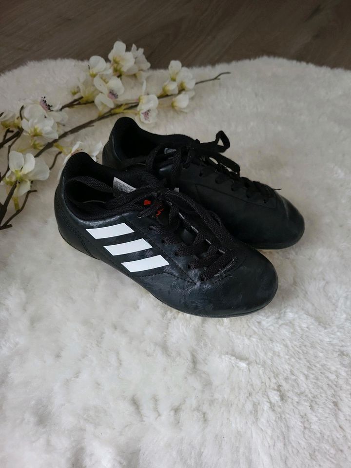 Fussballschuhe, Stollenschuhe, Adidas, Größe 28 (29) in Saterland