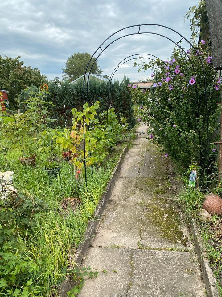 Garten in Brandenburg an der Havel in Berlin