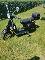 Vespa Roller elektrisch Rheinland-Pfalz - Morbach Vorschau