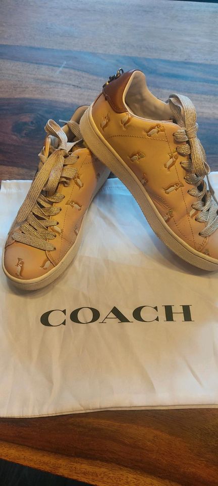 Coach Sneaker extravagant Gr. 38.5 in Niederkassel