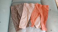 3 Leggings im Set Größe 80 Nürnberg (Mittelfr) - Oststadt Vorschau